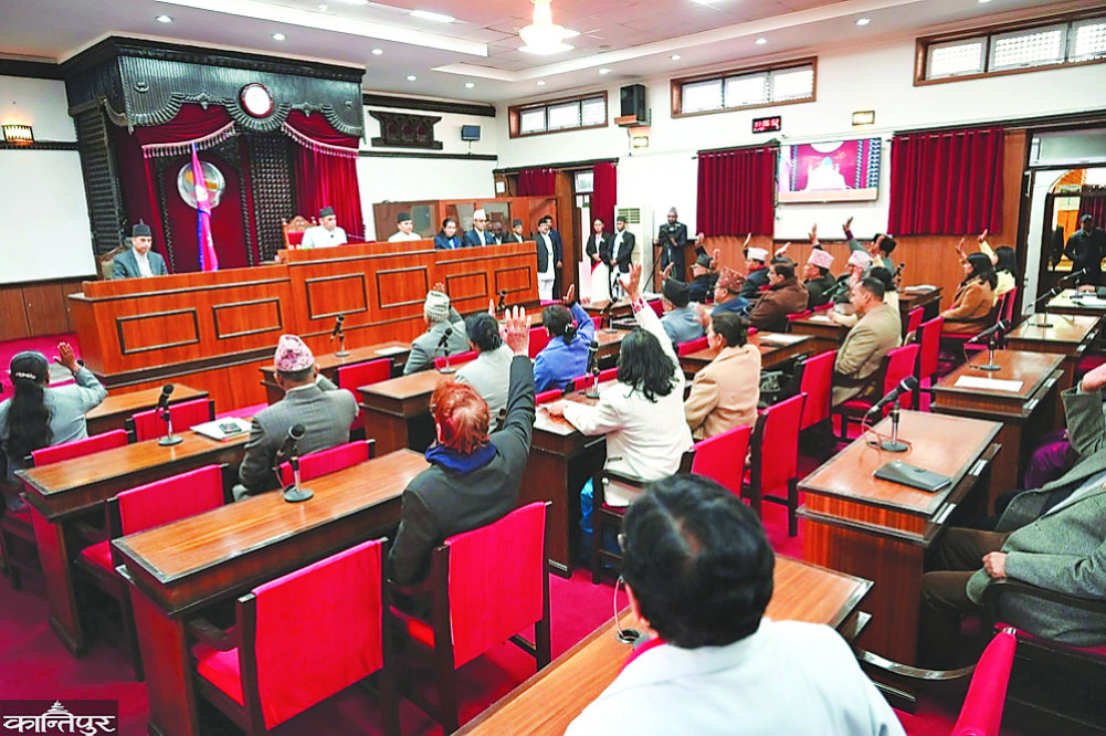 संघीयताले खोजेको राष्ट्रिय सभाको भूमिका